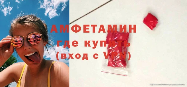 шишки Аркадак