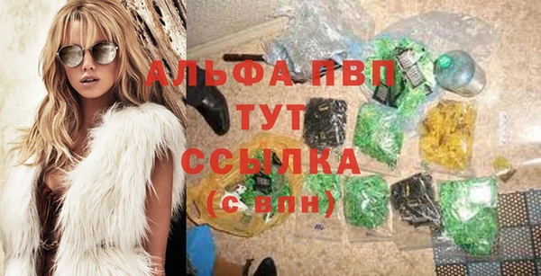 шишки Аркадак