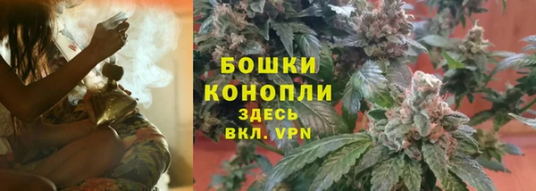 шишки Аркадак