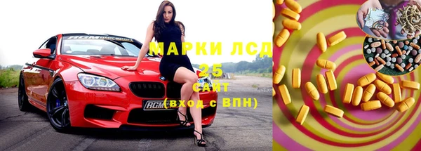 шишки Аркадак