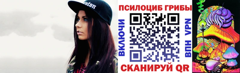 Галлюциногенные грибы Psilocybe  купить наркоту  Павловск 