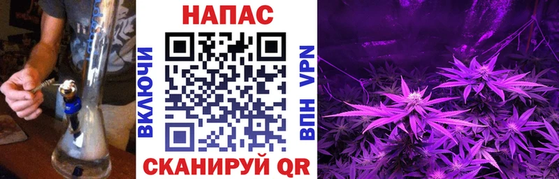 Шишки марихуана THC 21%  Павловск 